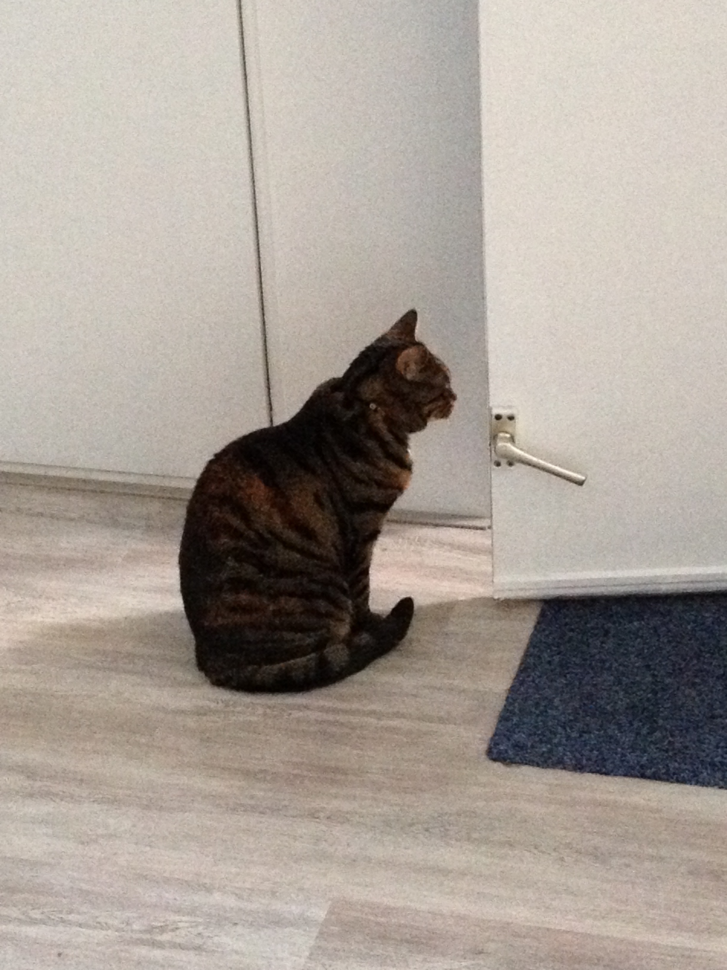 Buiten
