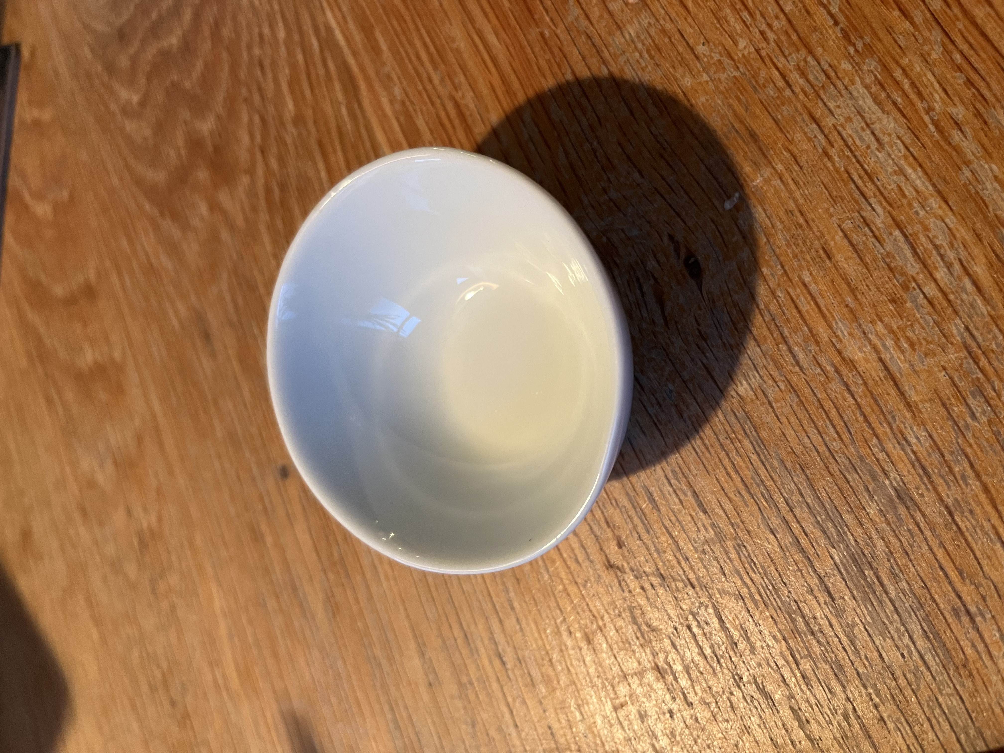 Kattenmelk